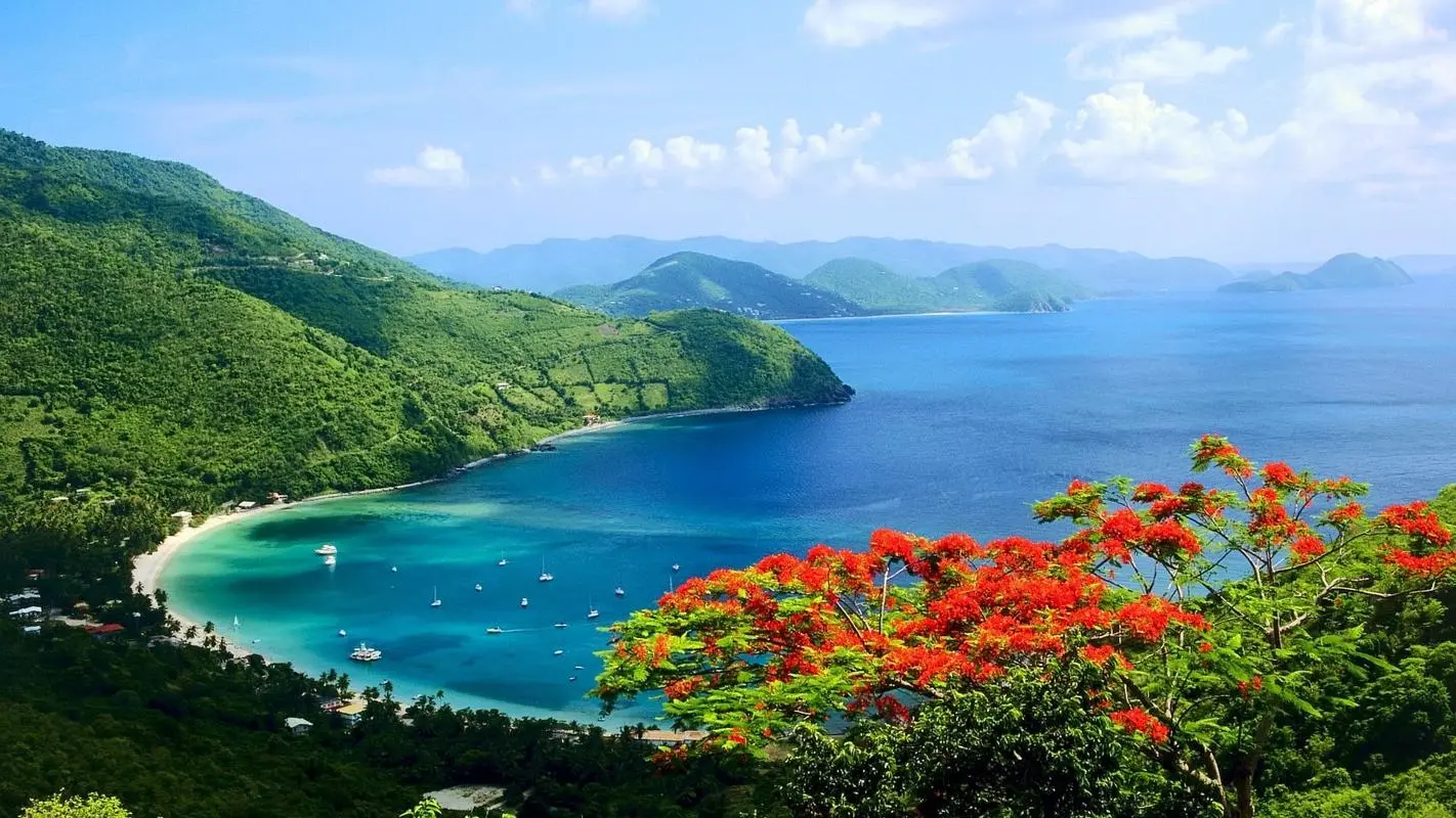 全自动高性能